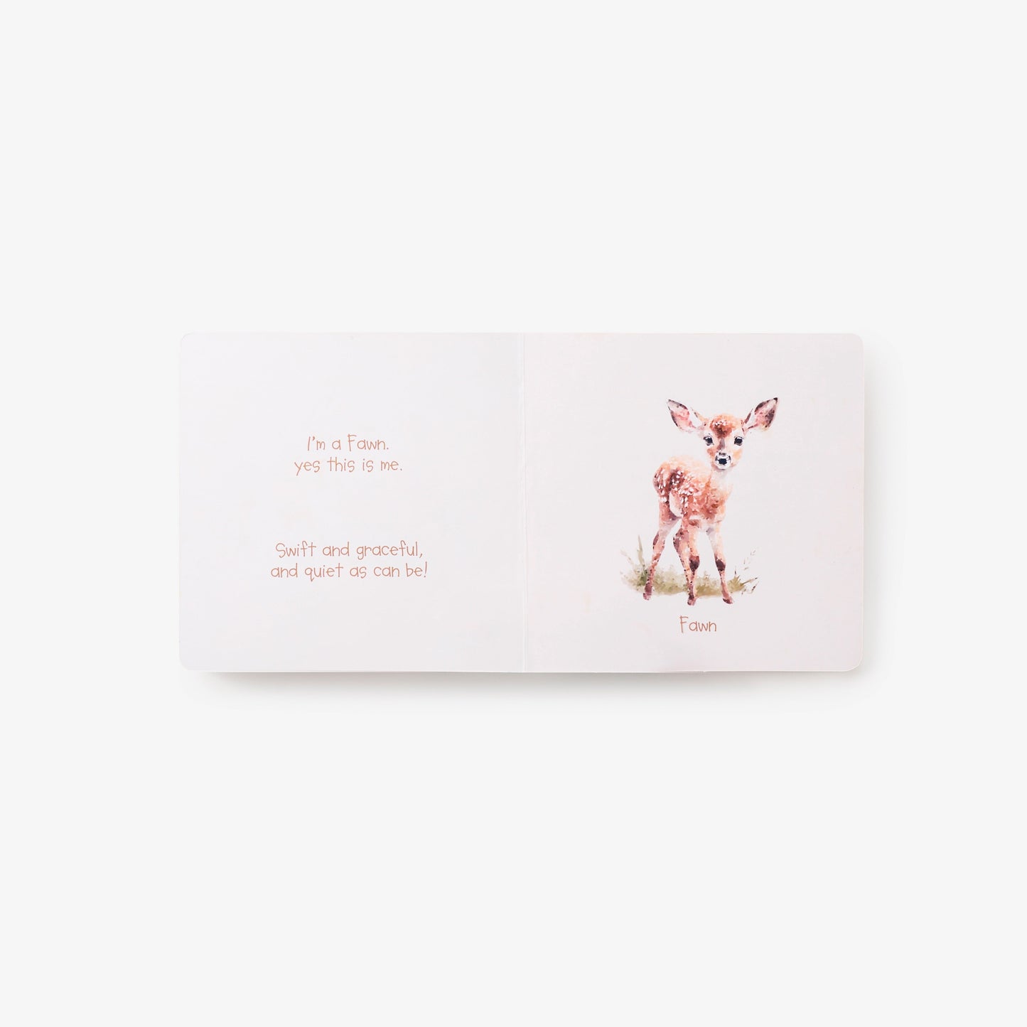 Little Wonders Forest Board Book