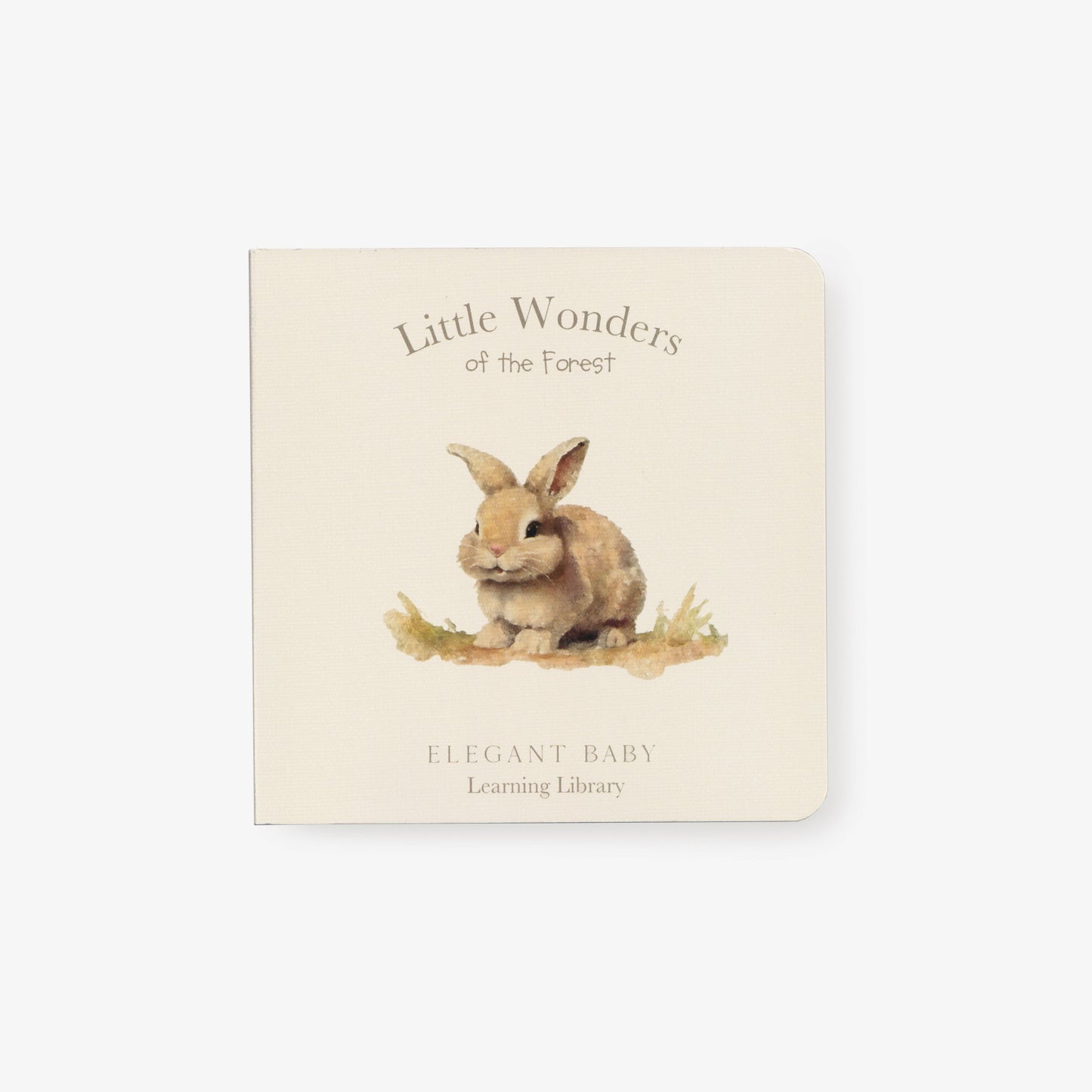 Little Wonders Forest Board Book