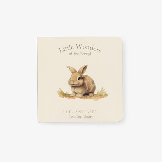 Little Wonders Forest Board Book