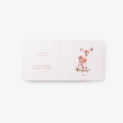 Little Wonders Forest Board Book